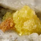 Terlinguacreekite, Kleinite<br />McDermitt Mine, Cordero, Opalite District, Humboldt County, Nevada, USA<br />FOV = 2.4 mm<br /> (Author: Doug)