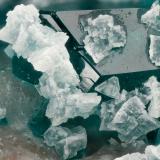 Minrecordite, Dioptase<br />Tsumeb Mine, Tsumeb, Otjikoto Region, Namibia<br />FOV = 3.9 mm<br /> (Author: Doug)