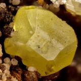 Wulfenite<br />Mineral Mountain Mine, Peloncillo Mountains, Kimball, San Simon District, Hidalgo County, New Mexico, USA<br />FOV = 3.2 mm<br /> (Author: Doug)