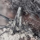 Stibnite<br />McDermitt Mine, Cordero, Opalite District, Humboldt County, Nevada, USA<br />FOV = 3.1 mm<br /> (Author: Doug)