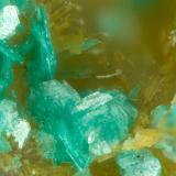 Chalcophyllite<br />Wheal Gorland, Saint Day, Camborne - Redruth - Saint Day District, Cornwall, England / United Kingdom<br />FOV = 1.4 mm<br /> (Author: Doug)