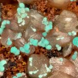 Rosasite<br />Kelly Mine, Magdalena, Magdalena District, Socorro County, New Mexico, USA<br />FOV = 1.9 mm<br /> (Author: Doug)