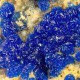 Azurite<br />Lovelock Mine, Cottonwood Canyon, Stillwater Range, Bolivia, Table Mountain District, Churchill County, Nevada, USA<br />FOV = 1.6 mm<br /> (Author: Doug)