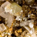 Chlorargyrite<br />Blue Bell Mine, Baker, Soda Lake Mountains, San Bernardino County, California, USA<br />FOV = 3.2 mm<br /> (Author: Doug)