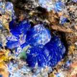 Azurite<br />Binghampton Mine, Bradshaw Mountains, Mayer, Agua Fria District, Yavapai County, Arizona, USA<br />FOV = 2.6 mm<br /> (Author: Doug)