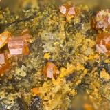 Calderonite<br />C and B Mine, Dripping Spring Mountains, Christmas, Banner District, Gila County, Arizona, USA<br />FOV = 1.3 mm<br /> (Author: Doug)