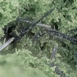 Glaucophane<br />Glaucophane Ridge, Diablo Range, San Benito County, California, USA<br />FOV = 3.0 mm<br /> (Author: Doug)