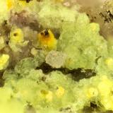 Andersonite, natrozippeite<br />Markey Mine, Red Canyon, White Canyon District, San Juan County, Utah, USA<br />FOV = 1.7 mm<br /> (Author: Doug)