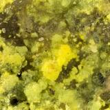 Andersonite, Natrozippeite<br />Markey Mine, Red Canyon, White Canyon District, San Juan County, Utah, USA<br />FOV = 1.7 mm<br /> (Author: Doug)