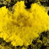 Natrozippeite<br />Parco Mine Group, Yellow Cat Mesa, Thompsons District (S.E. Thompsons), Grand County, Utah, USA<br />FOV = 1.9 mm<br /> (Author: Doug)