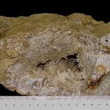 Quartz (geode)  and Aragonite in vug<br />State Route 37 road cuts, Harrodsburg, Clear Creek Township, Monroe County, Indiana, USA<br />See ruler for dimensions<br /> (Author: Bob Harman)