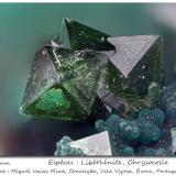 Libethenite<br />Miguel Vacas Mine, Pardais and Conceição Parish, Vila Viçosa, Évora District, Alentejo Central Province, Alentejo Region, Portugal<br />fov 2.0 mm<br /> (Author: ploum)