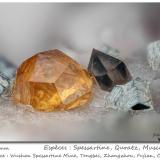 Spessartine, Quartz, Muscovite<br />Wushan Spessartine prospects, Tongbei, Yunxiao, Zhangzhou Prefecture, Fujian Province, China<br />fov 4.0 mm<br /> (Author: ploum)