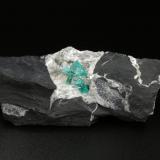 Beryl (variety emerald), Calcite, PyriteChivor (distrito minero), Municipio Chivor, Cinturón Esmeraldífero Oriental, Departamento Boyacá, Colombia77x24x45mm, longest xl=7mm (Author: Fiebre Verde)