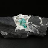 Beryl (variety emerald), Calcite, Pyrite<br />Chivor mining district, Municipio Chivor, Eastern Emerald Belt, Boyacá Department, Colombia<br />77x24x45mm, longest xl=7mm<br /> (Author: Fiebre Verde)