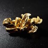 Gold, PaladiumCaroní River, Uriman, Bolívar State, Venezuela23.8 mm x 12.7 mm x 7.4 mm (Author: Don Lum)