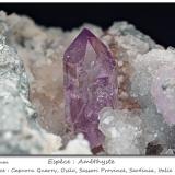 Quartz variety Amethyst<br />Capurru Quarry, Osilo, Sassari Province, Sardinia/Sardegna, Italy<br />fov 29 mm<br /> (Author: ploum)