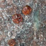 Esfalerita<br />Mina Rucheng, Caojia, Nuanshui, Rucheng, Prefectura Chenzhou, Provincia Hunan, China<br />20,5 x 14,4<br /> (Autor: Xavier Bordas)