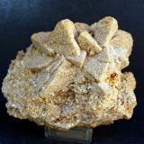 Calcita pseudomorfizada por arena<br />Bellecroix, Fontainebleau, Seine-et-Marne, Île-de-France, Francia<br />11 x 8 cm<br /> (Autor: Pedro Antonio)