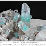 Ajoïte in quartz<br />Messina Mine, Musina (Messina), Vhembe District, Limpopo Province, South Africa<br />fov 40 mm<br /> (Author: ploum)