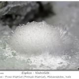 Natrolite<br />Pune District (Poonah District), Maharashtra, India<br />fov 40 mm<br /> (Author: ploum)