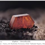 Vanadinite<br />Taouz, Er Rachidia Province, Drâa-Tafilalet Region, Morocco<br />fov 10 mm<br /> (Author: ploum)