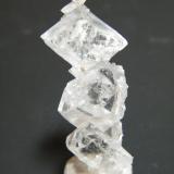 Gypsum (variety selenite)<br />Tsumeb Mine, Tsumeb, Otjikoto Region, Namibia<br />19mm x 15mm x 48mm<br /> (Author: Heimo Hellwig)