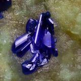 Azurite<br />Reformada Mine, El Pinar de Bédar, Bédar, Comarca Levante Almeriense, Almería, Andalusia, Spain<br />FOV 0.6mm<br /> (Author: Carlos Pareja)