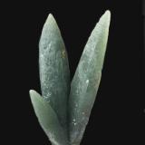 Cuarzo (variedad prasio)<br />Isla de Serifos, Islas Cícladas, Prefectura de las Cícladas, Egeo meridional, Grecia<br />6,2 x 2,6 cm.<br /> (Autor: Xavier Bordas)