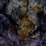 Piromorfita.<br />Minas Can Magre, Vidreres, Comarca La Selva, Gerona / Girona, Cataluña / Catalunya, España<br />3´204 x 2´375 mm.<br /> (Autor: Jesus Franquesa Baucells)
