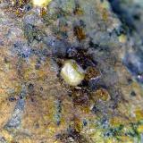 Arsendescloizita<br />Mina C and B, Montes Dripping Spring, Christmas, Distrito Banner, Condado Gila, Arizona, USA<br />Campo de visión 6 mm.<br /> (Autor: Antonio P. López)