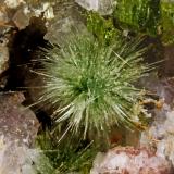 PumpellyitaCantera Los Arenales, Monte La Rocha de Piquer, Torás, Comarca Alto Palancia, Castellón / Castelló, Comunidad Valenciana / Comunitat Valenciana, EspañaCristal 1 mm (Autor: Jorgina-Agusti-Màrius)