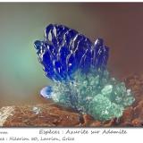 Azurite on Adamite<br />Hilarion Mine, Hilarion area, Kamariza Mines, Agios Konstantinos, Lavrion Mining District, Attikí (Attica) Prefecture, Greece<br />fov 2.5 mm<br /> (Author: ploum)