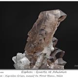 Quartz (variety smoky)<br />Miage Glacier, Veny Valley, Monte Bianco Massif (Mont Blanc Massif), Courmayeur, Aosta Valley (Val d'Aosta), Italy<br />fov 40 mm<br /> (Author: ploum)