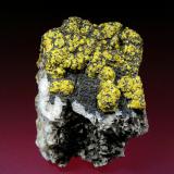 Mimetita (variedad campylita)<br />Mina Dry Gill, Caldbeck Fells, Allerdale, (antes Cumberland), Cumbria, Inglaterra / Reino Unido<br />7 x 6 cm.<br /> (Autor: Antonio P. López)