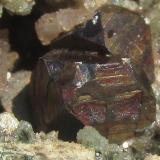 Pirita<br />Villel, Comarca de la Comunidad de Teruel, Teruel, Aragón, España<br />Cristales entre 5 y 10 mm.<br /> (Autor: Miguel Ángel Martinez)