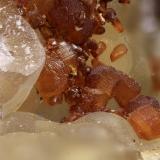 Siderita<br />Corta San Valentín, Sancti Espíritu, Sierra Minera de Cartagena-La Unión, La Unión, Comarca Campo de Cartagena, Región de Murcia (Murcia), España<br />Cristal mayor 1,5 mm<br /> (Autor: Jorgina-Agusti-Màrius)