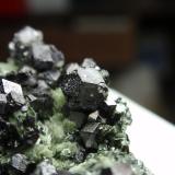 Magnetita sobre Actinolita (variedad byssolita / bisolita)<br />Mina La Herrería, Burguillos del Cerro, Comarca Zafra-Río Bodión, Badajoz, Extremadura, España<br />30x30 mm<br /> (Autor: Ignacio)