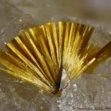 Cacoxenita<br />Mina La Paloma, Zarza la Mayor, Mancomunidad Rivera de Fresnedosa, Cáceres, Extremadura, España<br />2 mm<br /> (Autor: Jorgina-Agusti-Màrius)