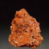 Crocoite<br />Dundas, Zeehan District, West Coast Council, Tasmania, Australia<br />4.5 X 4.5 cm<br /> (Author: Richard Arseneau)