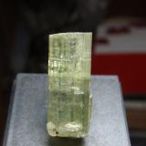 Fluorapatito (Grupo Apatito)<br />Minas da Panasqueira, Aldeia de São Francisco de Assis, Covilhã, Castelo Branco, Cova da Beira, Centro, Portugal<br />10x30 mm<br /> (Autor: Ignacio)