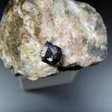 Loparita-(Ce)<br />Macizo Khibiny, Península Kola, Murmanskaja Oblast, Región del Norte, Rusia<br />5 x 4 cm.<br /> (Autor: Antonio P. López)