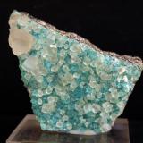 Fluorita y Calcita<br />Pedrera Berta, Turó de Can Domènech, Serra de Roques Blanques, Sant Cugat del Vallès-El Papiol, Comarca Vallès Occidental / Baix Llobregat, Barcelona, Cataluña / Catalunya, España<br />7 x 6 cm<br /> (Autor: Pedro Antonio)