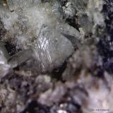 Anglesita.<br />Mina de Vallclara, Mas de lAnglès, Vallclara, Comarca Conca de Barberà, Tarragona, Cataluña / Catalunya, España<br />1´764 x 1´657 mm.<br /> (Autor: Jesus Franquesa Baucells)