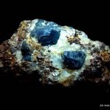 Sapphirina.Ambatomika, Tranomaro, Distrito Amboasary, Región Anosy, Madagascar70x50 mm. (Autor: Jesus Franquesa Baucells)