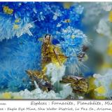 Fornacite + Plancheite + MimetiteMina Eagle Eye, Grupo Moore Mine, Distrito New Water, Montes New Water, Condado La Paz, Arizona, USAfov 2.3 mm (Author: ploum)