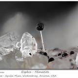 Hematite<br />Aguila Mine, Wickenburg, Red Picacho District, Yavapai County, Arizona, USA<br />fov 1.8 mm<br /> (Author: ploum)