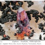 Roselite and Heterogenite<br />Aghbar Mine (Arhbar Mine), Bou Azzer mining district, Zagora Province, Drâa-Tafilalet Region, Morocco<br />fov 5.5 mm<br /> (Author: ploum)