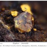 Jarosite<br />Socavón Santa Bárbara (El Arteal Tunnel), Almagrera Range, Cuevas del Almanzora, Comarca Levante Almeriense, Almería, Andalusia, Spain<br />fov 2.3 mm<br /> (Author: ploum)