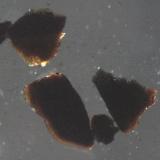Fragments viewed immersed in index oil at 100x with a petrographic scope, polarizers not crossed (Author: Pete Richards)